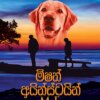 Mission Einstein - මිෂන් අයින්ස්ටයින්