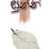 Sunni - සුන්නි