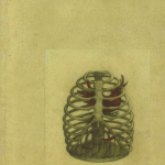 Dala Redi Saha Kasee Salu - දළ රෙදි සහ කසී සළු