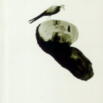 Mal Sutikka - මල් සූටික්කා