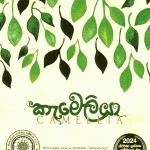කැමෙලියා - Camellia